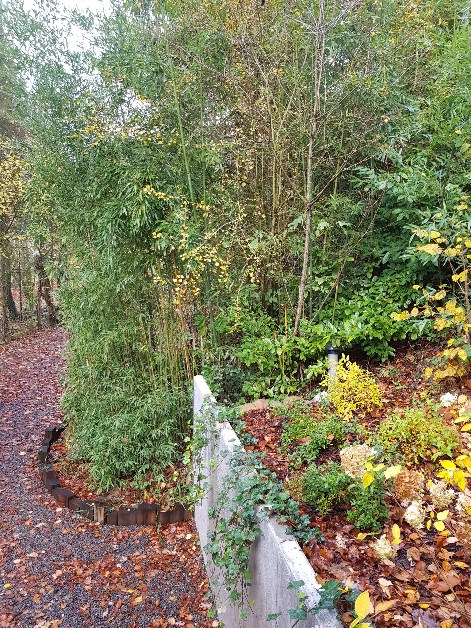 Cottage for 4 people in Erezée Au Chalet de Mélines